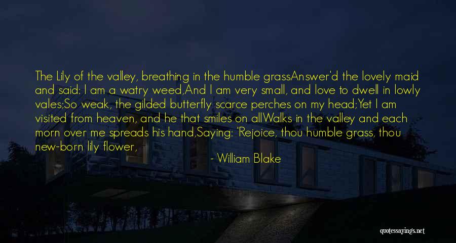 Butterfly And Flower Love Quotes By William Blake