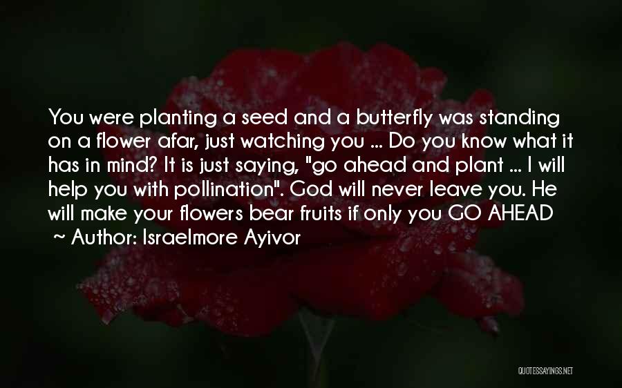 Butterfly And Flowers Quotes By Israelmore Ayivor
