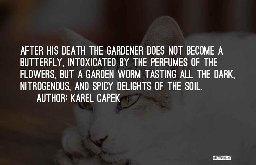 Butterfly And Flowers Quotes By Karel Capek