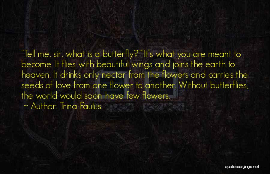 Butterfly And Flowers Quotes By Trina Paulus