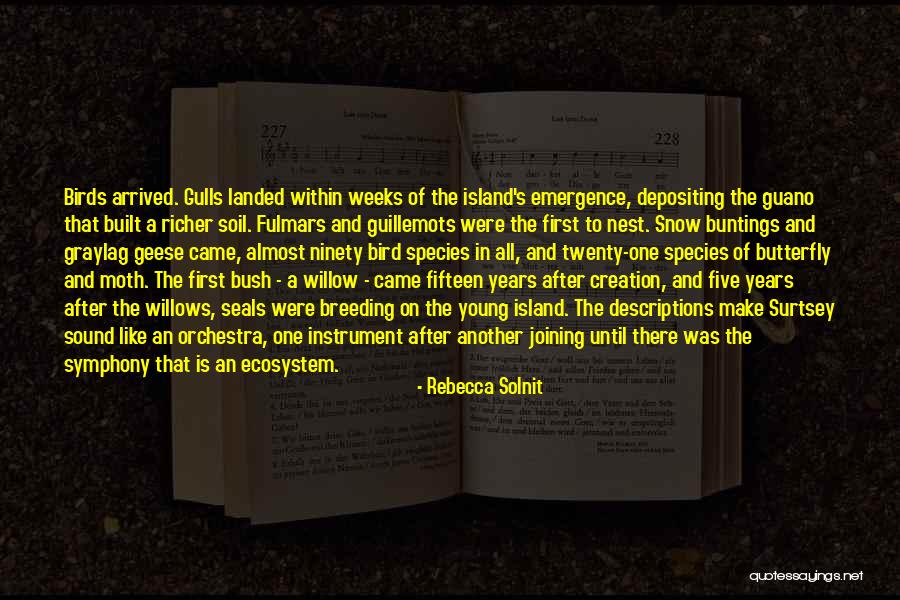 Butterfly And Moth Quotes By Rebecca Solnit Butterfly And Moth Quotes By Rebecca Solnit
