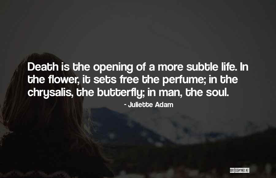 Butterfly Chrysalis Quotes By Juliette Adam