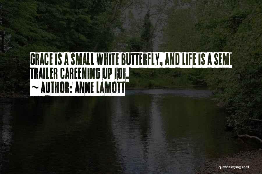 Butterfly Life Quotes By Anne Lamott