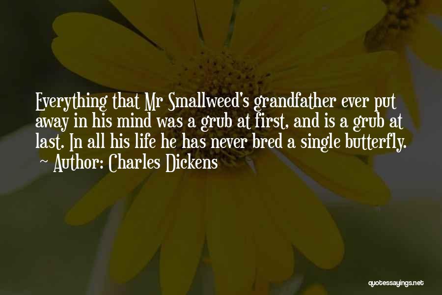 Butterfly Life Quotes By Charles Dickens