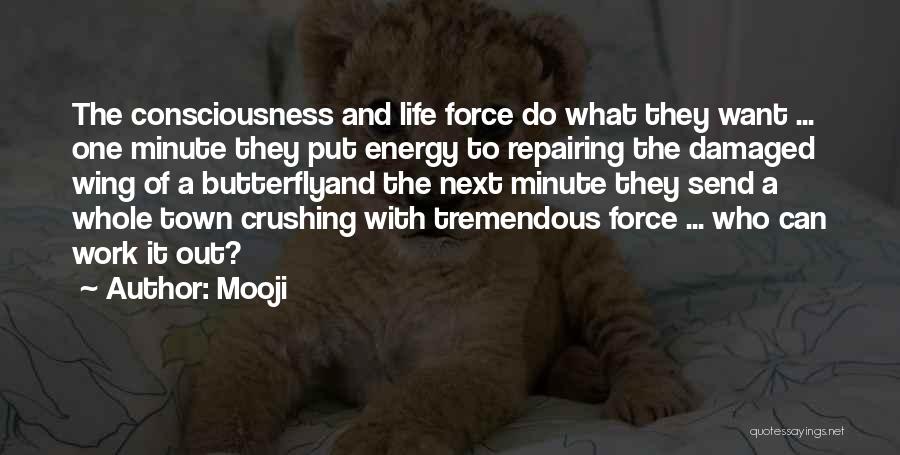 Butterfly Life Quotes By Mooji