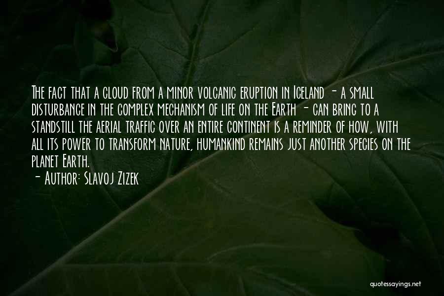 Butterfly Life Quotes By Slavoj Zizek
