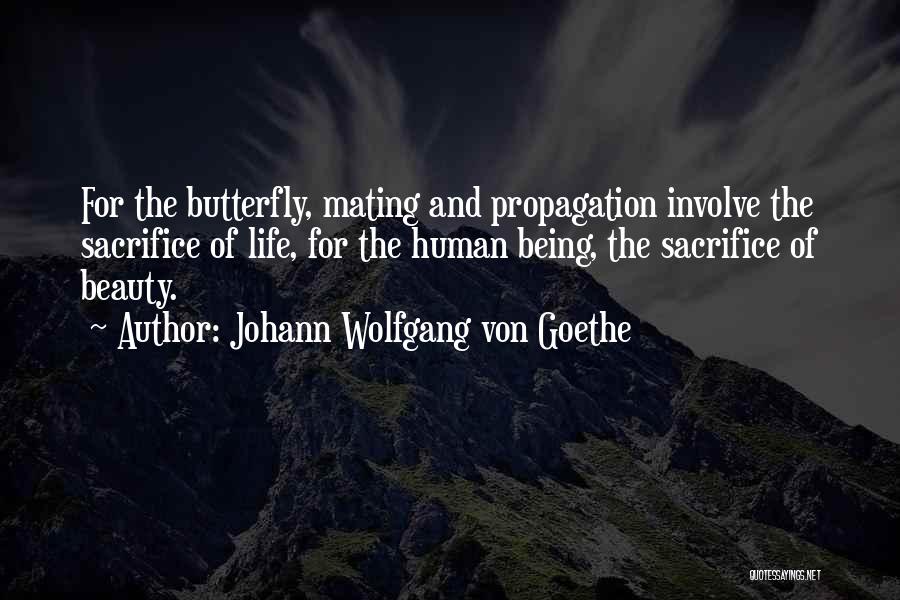 Butterfly Mating Quotes By Johann Wolfgang Von Goethe