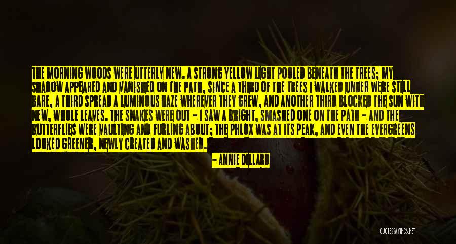 Butterfly Morning Quotes By Annie Dillard Butterfly Morning Quotes By Annie Dillard
