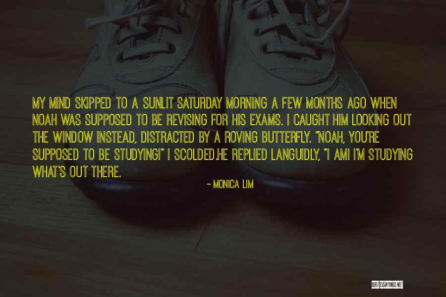 Butterfly Morning Quotes By Monica Lim Butterfly Morning Quotes By Monica Lim
