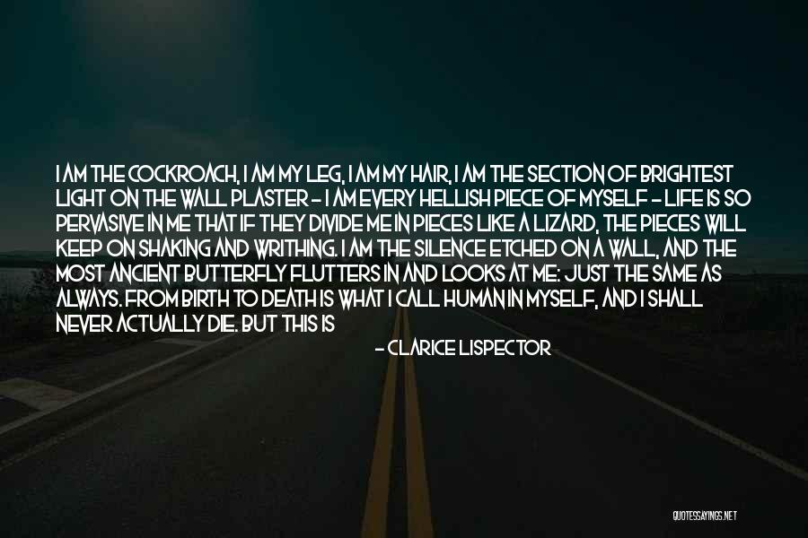 Butterfly Wall Quotes By Clarice Lispector Butterfly Wall Quotes By Clarice Lispector