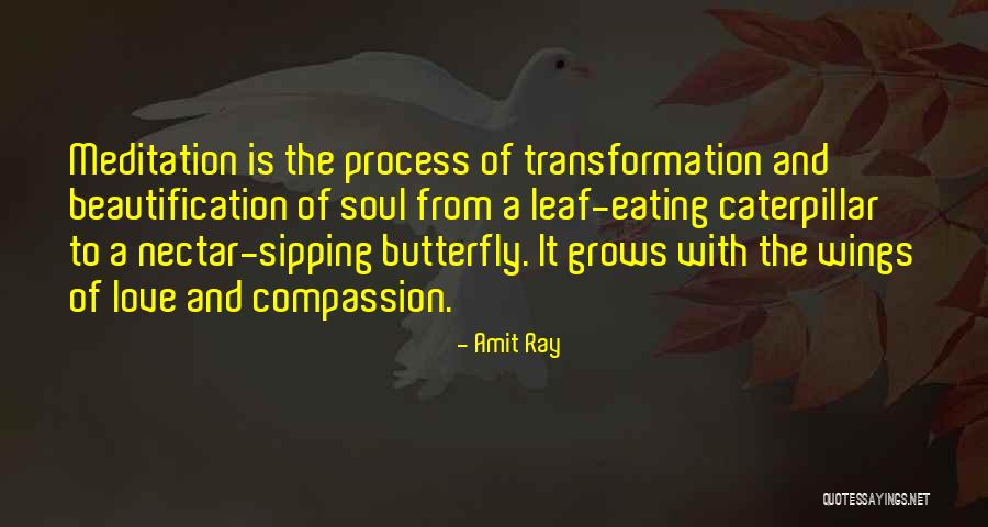 Butterfly With Quotes By Amit Ray Butterfly With Quotes By Amit Ray