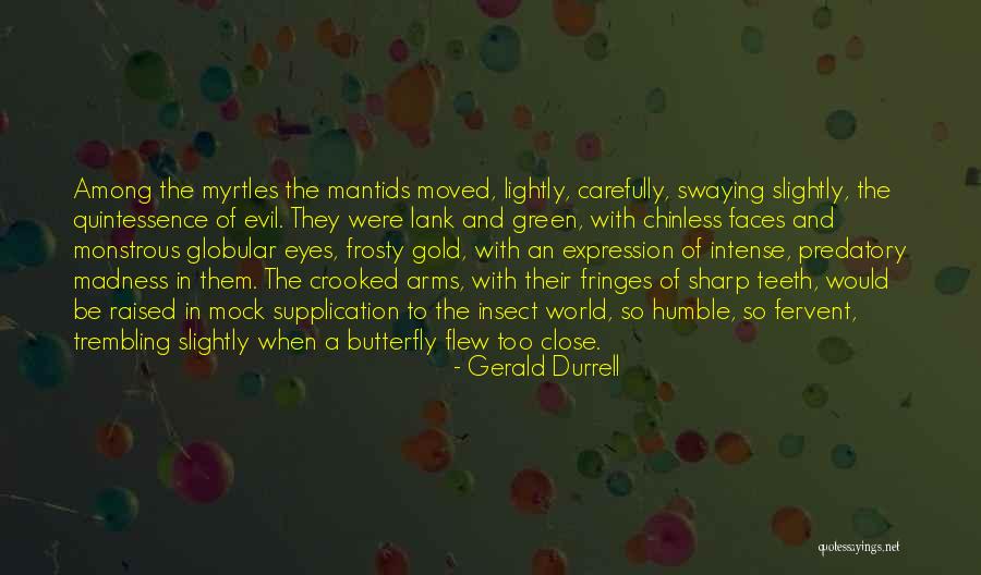 Butterfly With Quotes By Gerald Durrell Butterfly With Quotes By Gerald Durrell