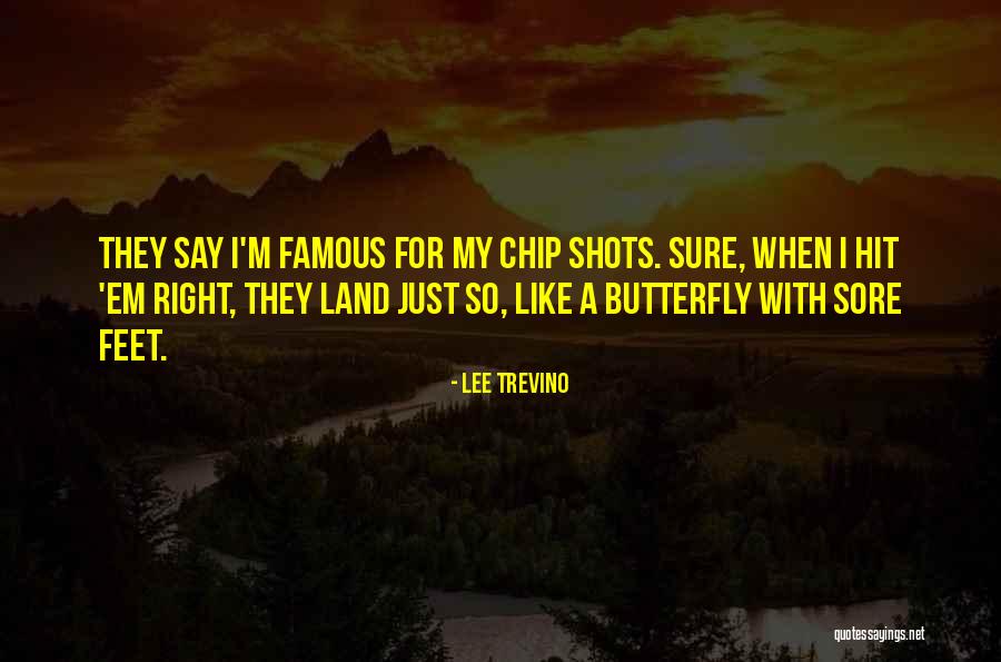 Butterfly With Quotes By Lee Trevino Butterfly With Quotes By Lee Trevino