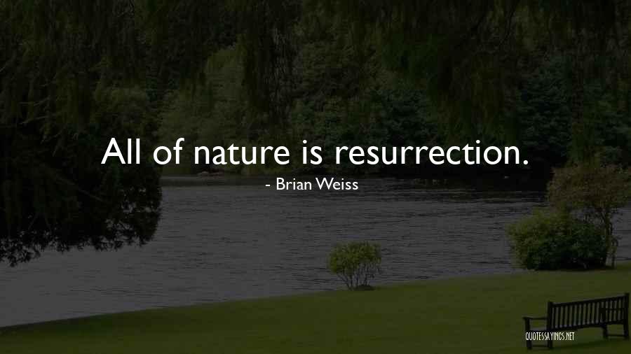 Button The Clown Quotes By Brian Weiss Button The Clown Quotes By Brian Weiss