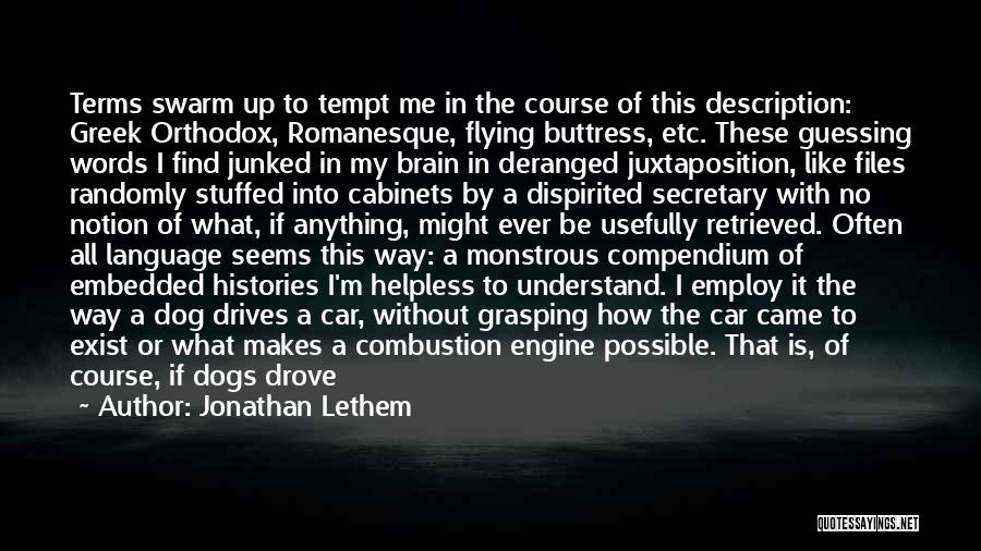 Buttress Quotes By Jonathan Lethem