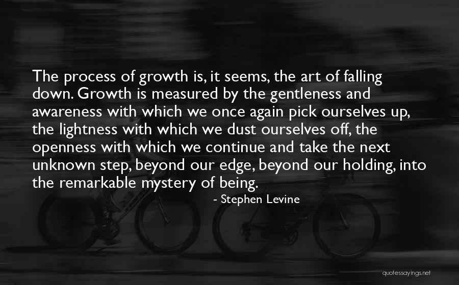Butzi Quotes By Stephen Levine Butzi Quotes By Stephen Levine