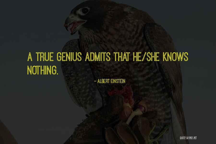 Buurman Roblox Quotes By Albert Einstein Buurman Roblox Quotes By Albert Einstein