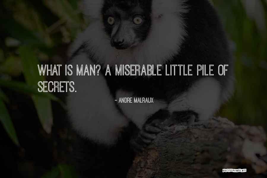 Buvette New York Quotes By Andre Malraux Buvette New York Quotes By Andre Malraux