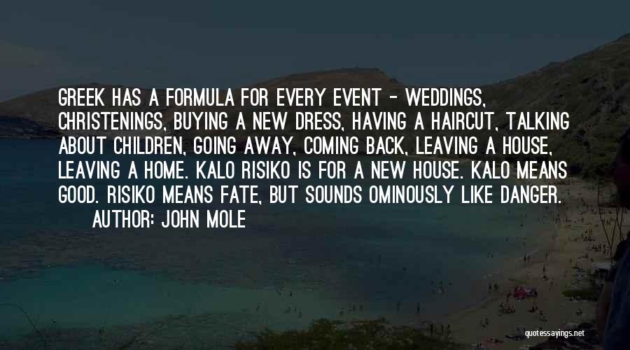 Buying New Things Quotes By John Mole