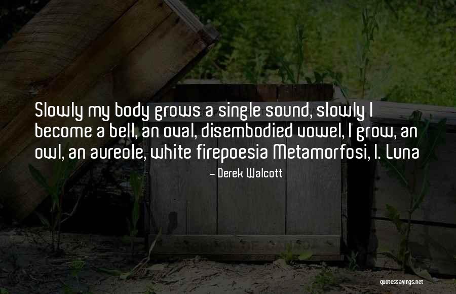 Buzones Quotes By Derek Walcott Buzones Quotes By Derek Walcott