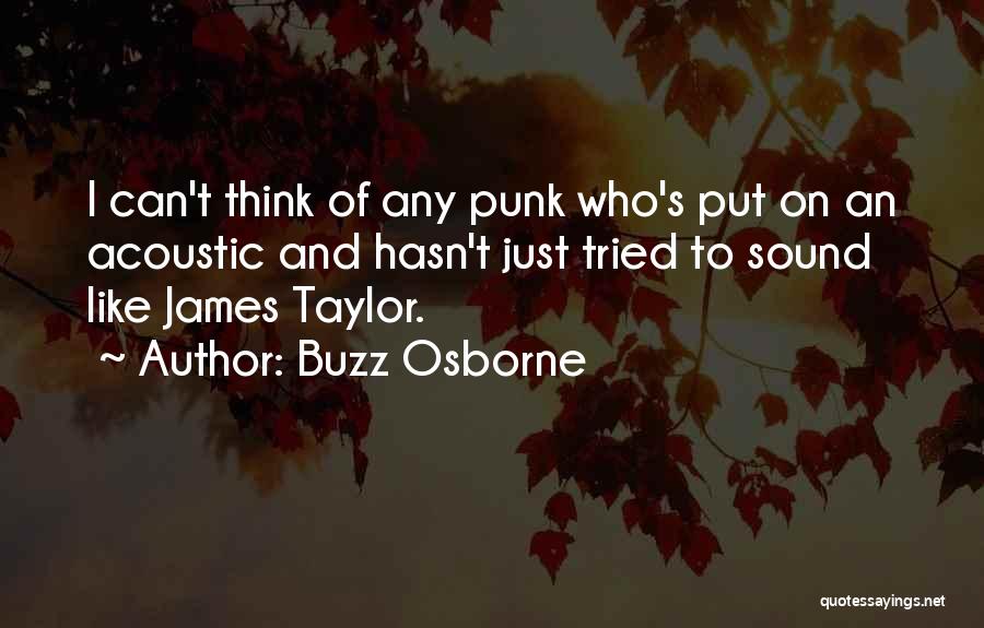 Buzz Osborne Quotes 952065