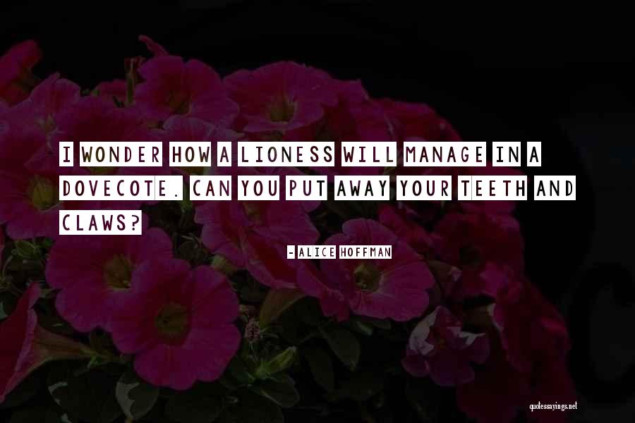 Buzzanca Srl Quotes By Alice Hoffman Buzzanca Srl Quotes By Alice Hoffman