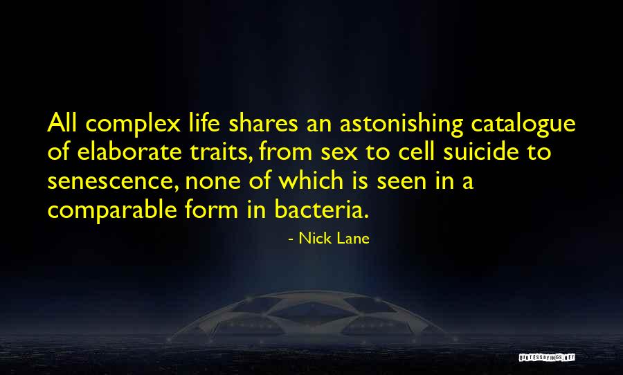 Buzzfeed Unsolved Quotes By Nick Lane Buzzfeed Unsolved Quotes By Nick Lane