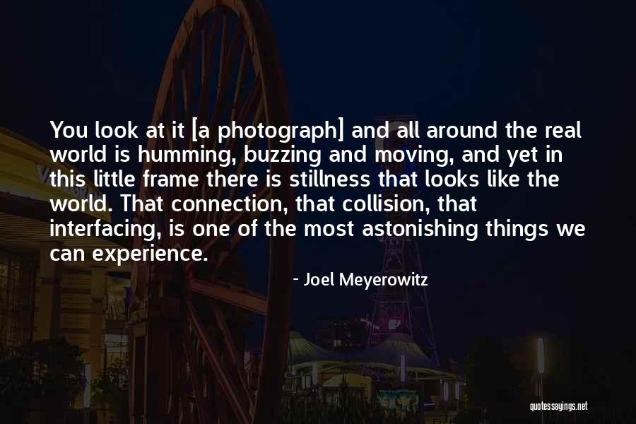Buzzing Around Quotes By Joel Meyerowitz Buzzing Around Quotes By Joel Meyerowitz