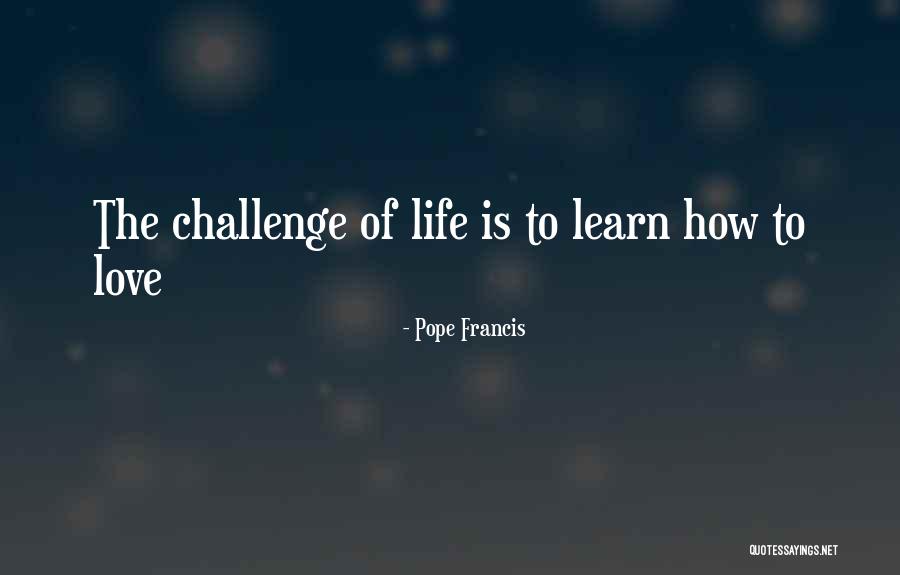 Buzzy Bee Quotes By Pope Francis Buzzy Bee Quotes By Pope Francis
