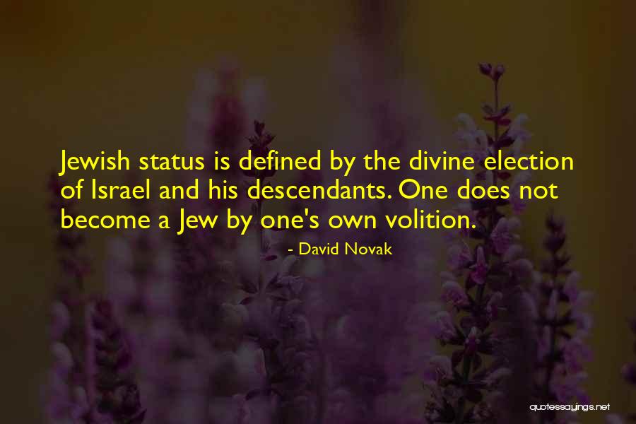 By Election Quotes By David Novak