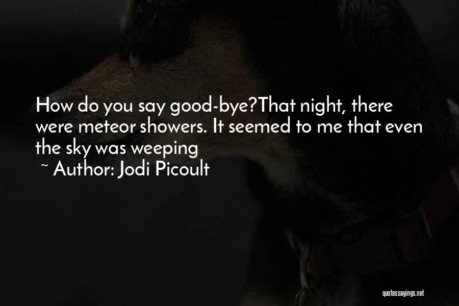 Bye Quotes By Jodi Picoult