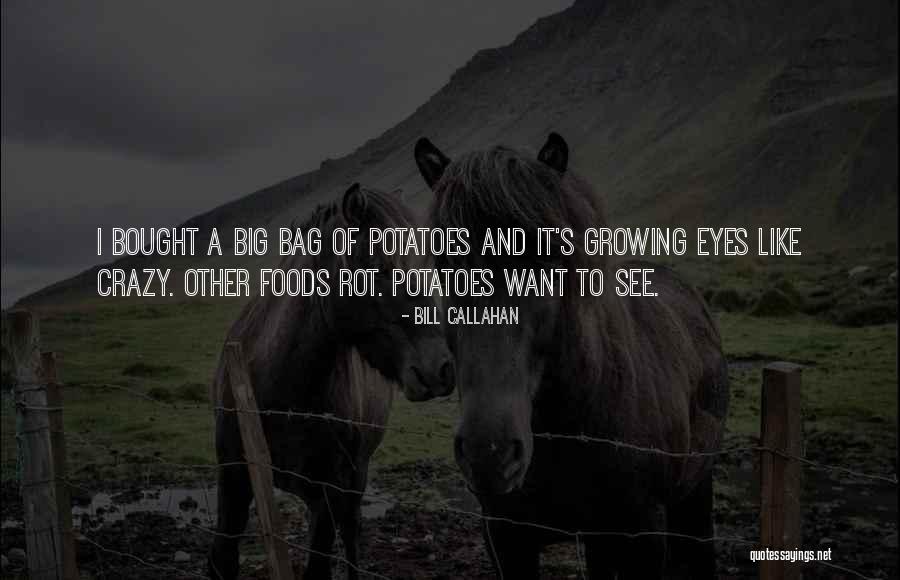 Bylund Law Quotes By Bill Callahan Bylund Law Quotes By Bill Callahan