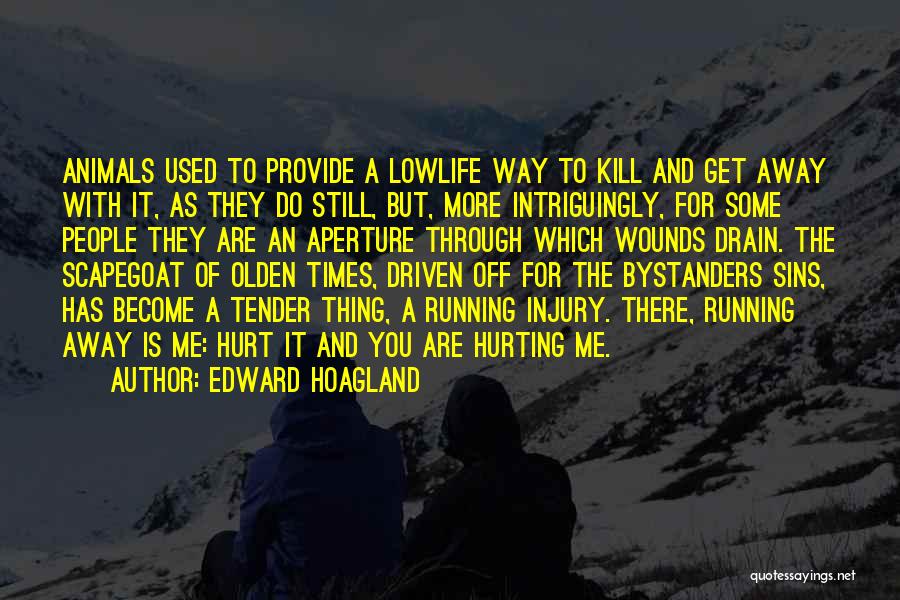 Bystanders Quotes By Edward Hoagland