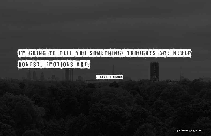 Bytheway Shutters Quotes By Albert Camus Bytheway Shutters Quotes By Albert Camus