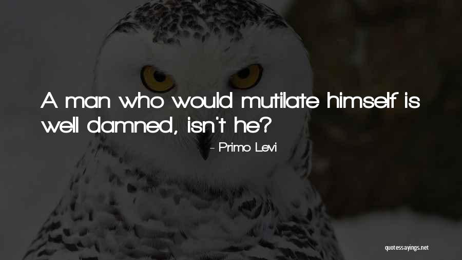 Byturus Quotes By Primo Levi Byturus Quotes By Primo Levi