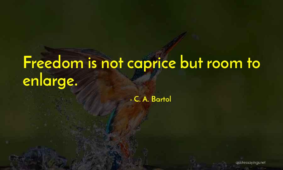 C. A. Bartol Quotes 1998042