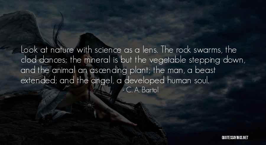 C. A. Bartol Quotes 275671