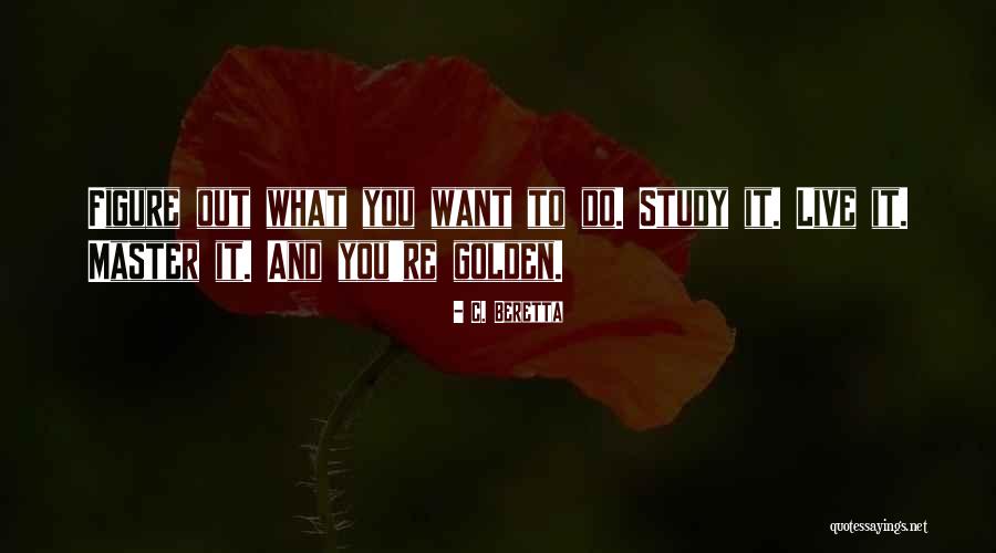 C. Beretta Quotes 1955464 C. Beretta Quotes 1955464
