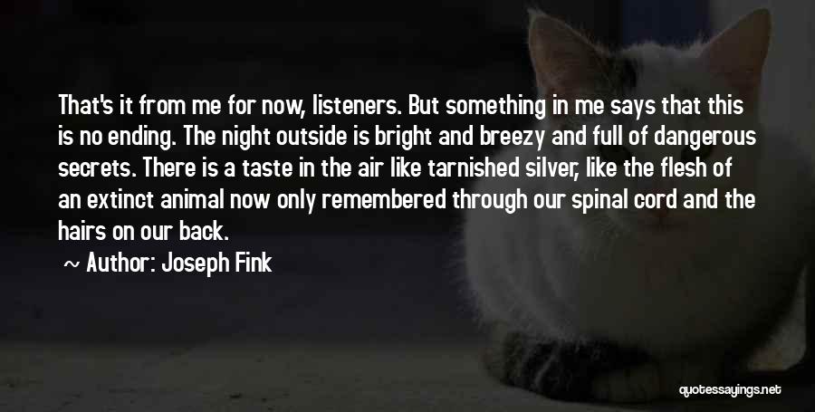 C Breezy Quotes By Joseph Fink