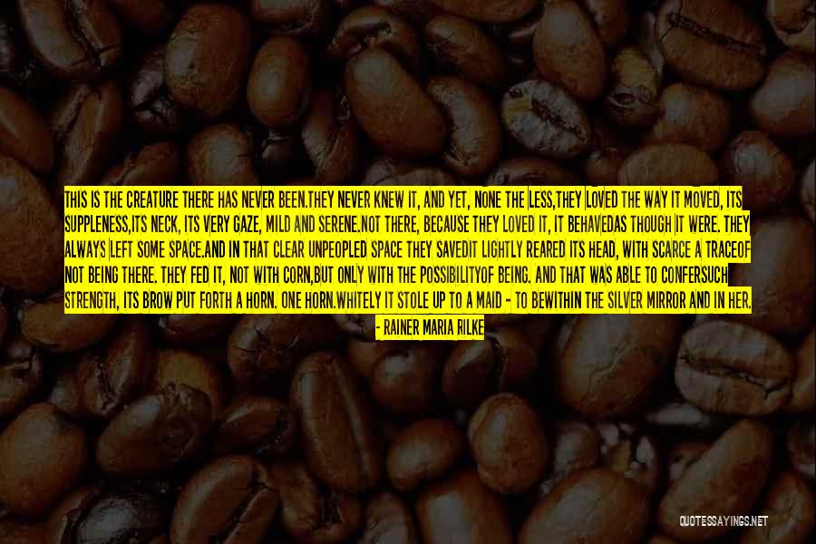 C C C P Dz Quotes By Rainer Maria Rilke