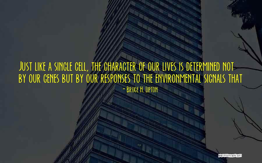 C Character Single Quotes By Bruce H. Lipton C Character Single Quotes By Bruce H. Lipton