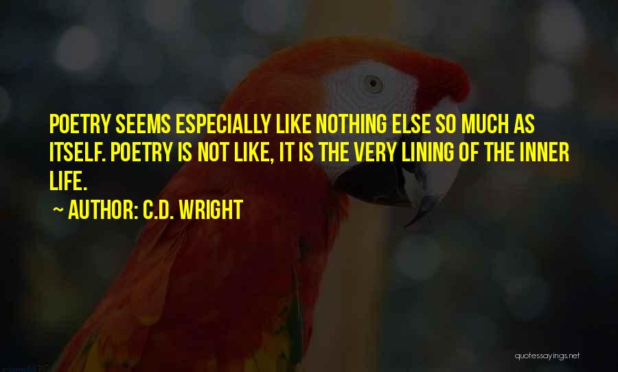 C.D. Wright Quotes 2123464