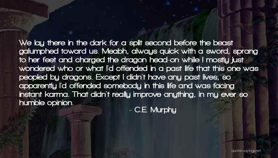 C.e. D'oh Quotes By C.E. Murphy C.e. D'oh Quotes By C.E. Murphy