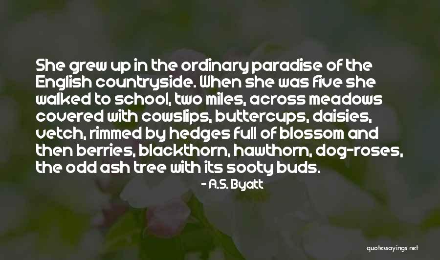 C E Hedges Quotes By A.S. Byatt C E Hedges Quotes By A.S. Byatt