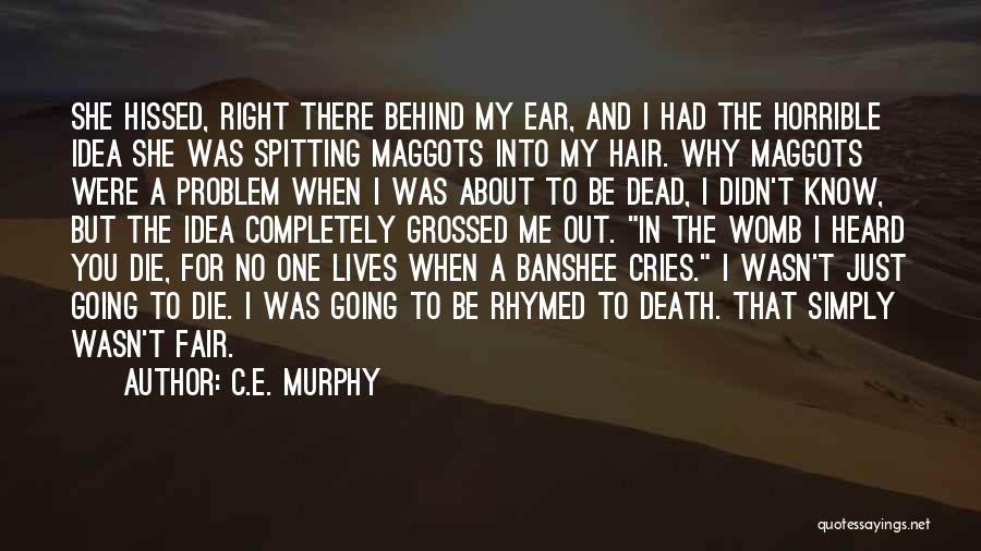 C.E. Murphy Quotes 1386258