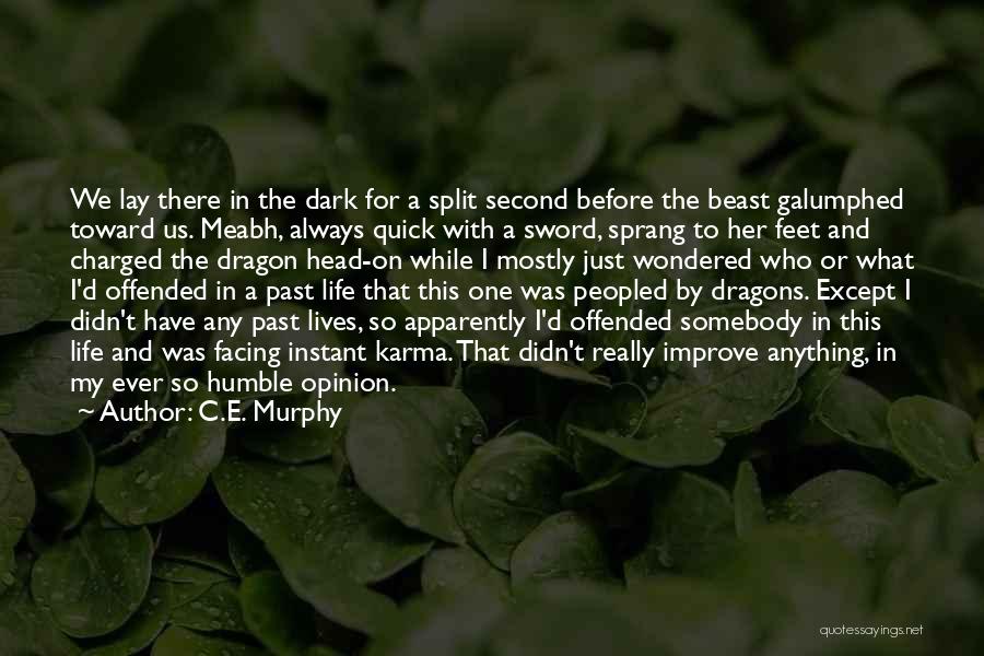 C.E. Murphy Quotes 1997506