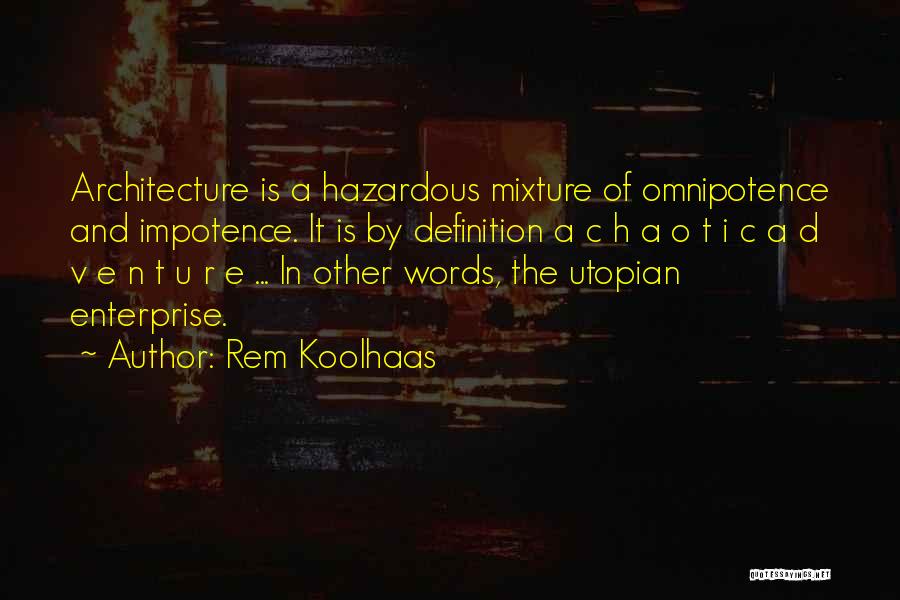 C.e.o Quotes By Rem Koolhaas