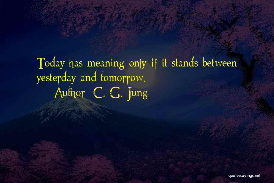 C. G. Jung Quotes 720107