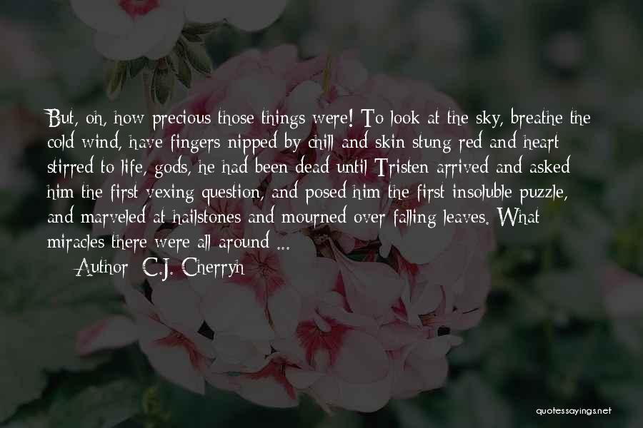 C.J. Cherryh Quotes 1538194