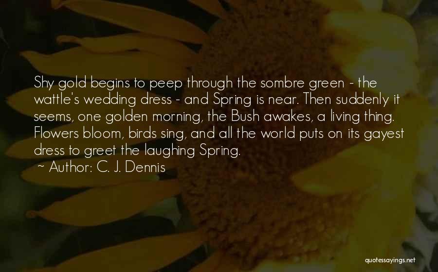 C. J. Dennis Quotes 1892712